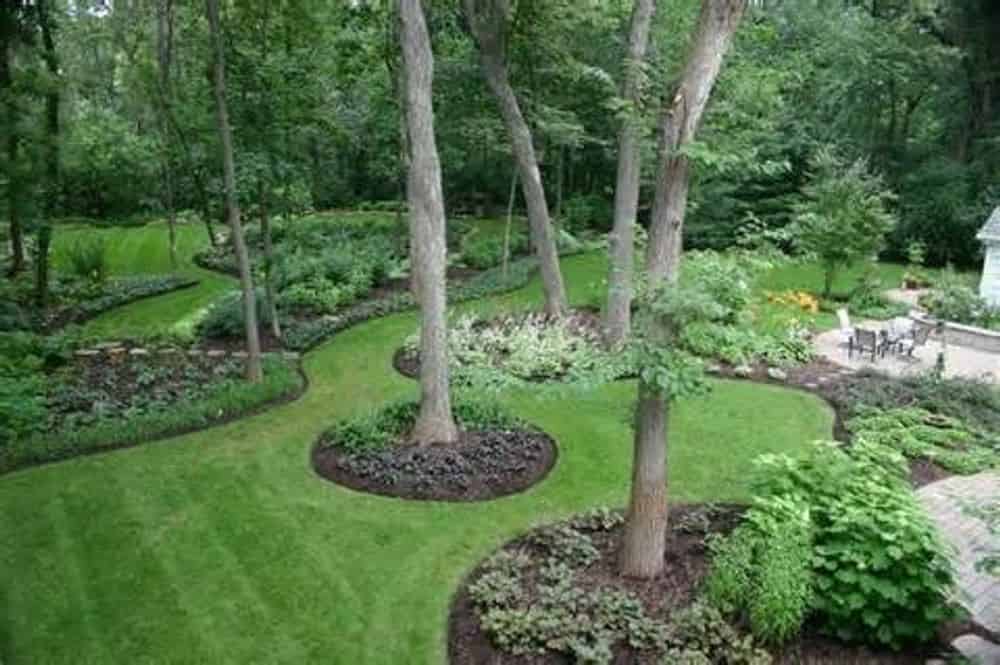 Tree Services image