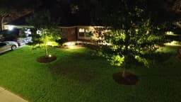 Austin Native Plants Initiative Partner's image